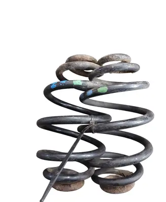Rear coil spring