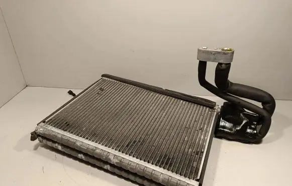 Land Rover Range Rover Sport L320 Air conditioning (A/C) radiator (interior) 