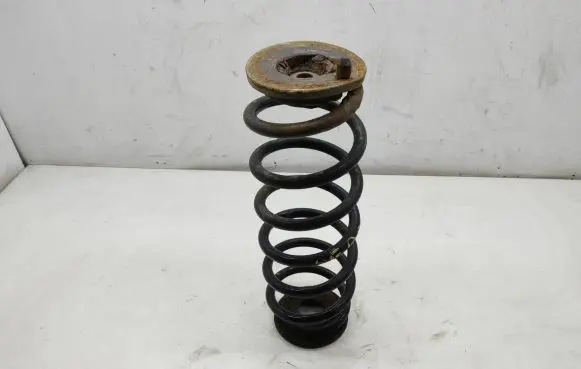Volkswagen PASSAT B7 Rear coil spring