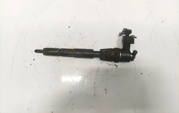 Fiat Croma Fuel injector 0445110243