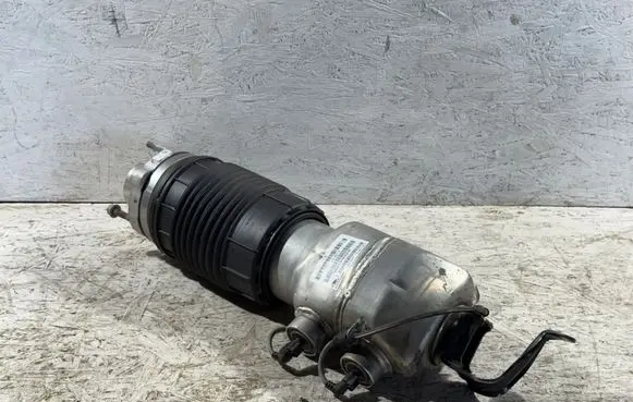 Porsche Panamera (971) Air suspension front shock absorber 971616037H 15140023414 190409134244