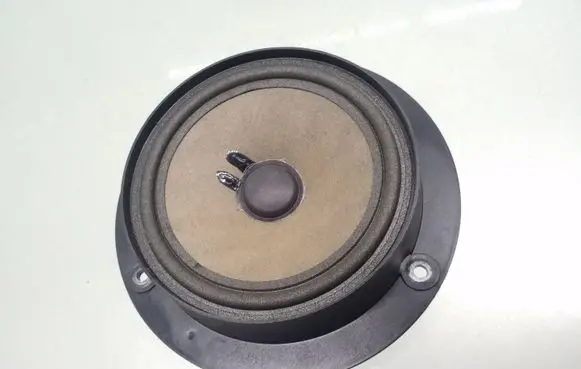 Rear door speaker