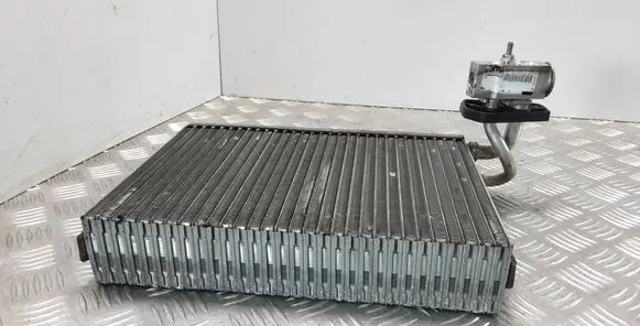 Mercedes-Benz R W251 Air conditioning (A/C) radiator (interior) A1648300084