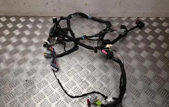 Tesla Model S Front door wiring loom 100442400P