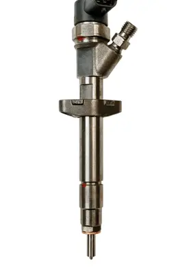 Renault Avantime Fuel injector 0986435173