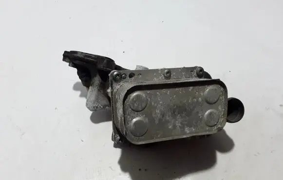 Renault Laguna III Oil filter mounting bracket 8200797762