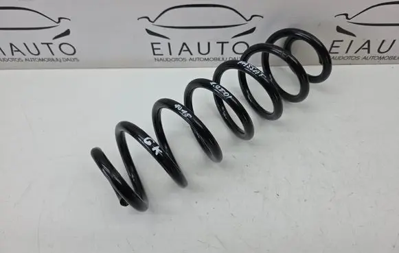 Rear coil spring