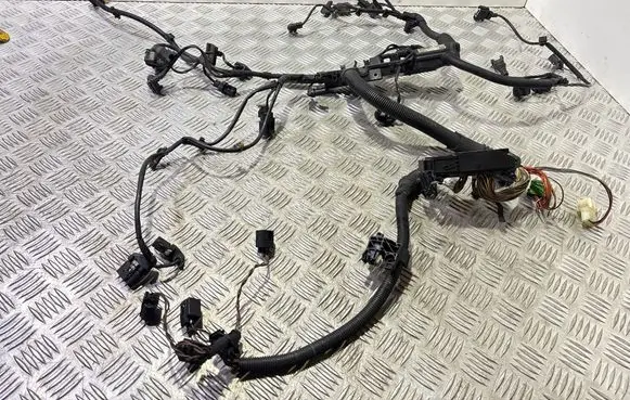 Engine installation wiring loom