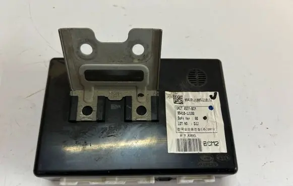 Hyundai i20 (PB PBT) Other control units/modules 954101J100