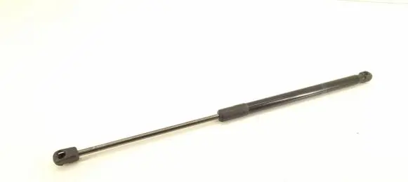 Tailgate strut