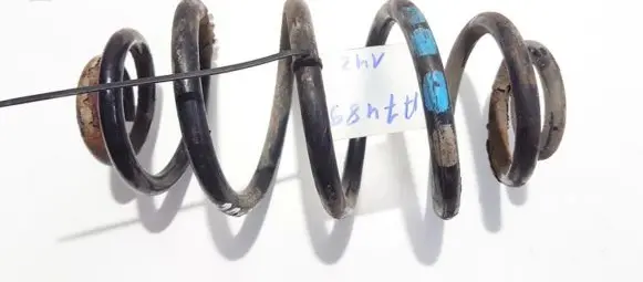 Volkswagen PASSAT B5 Rear coil spring