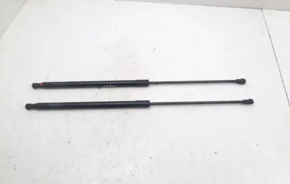 Tailgate/trunk strut/damper