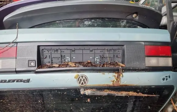 Volkswagen PASSAT B4 Tailgate/trunk/boot lid