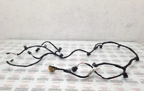 Rear door wiring loom
