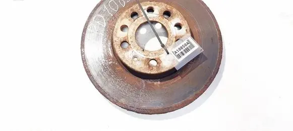 Volkswagen Golf V Front brake disc ventiliuojamas