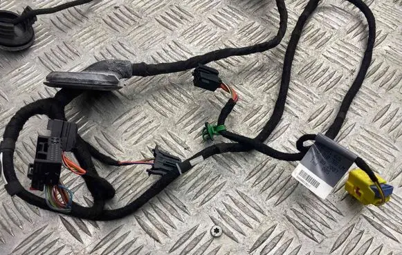 Front door wiring loom