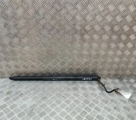 Ford Puma Tailgate/trunk strut/damper L1TBS404C84AB