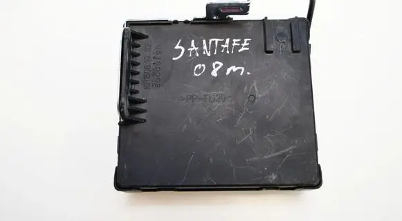 Hyundai Santa Fe Central body control module 954002B420