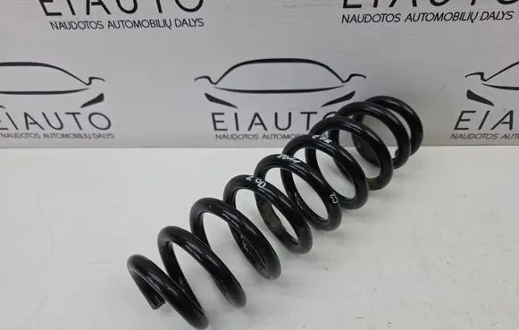 Rear coil spring
