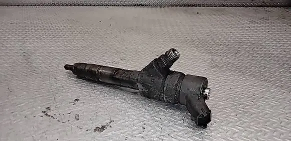 Renault Trafic II (X83) Fuel injector 0445110146 8200238528