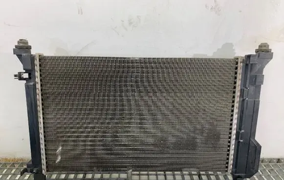 Mercedes-Benz A W169 Coolant radiator A1695000604
