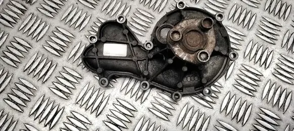 Volkswagen Touareg II Water pump 059005J