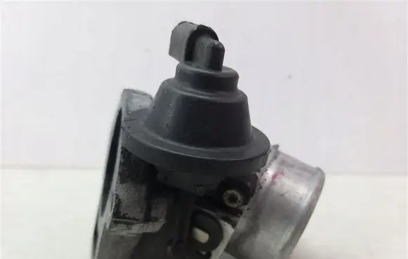 Throttle body valve