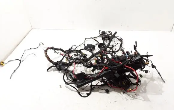 Audi A4 S4 B9 Other wiring loom 8W1971051