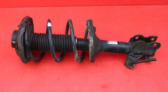 Nissan Maxima Front shock absorber/damper 2A16767-AL