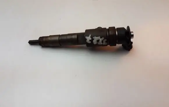 Citroen Berlingo Fuel injector 137227