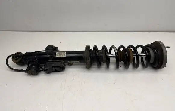 BMW 7 F01 F02 F03 F04 Rear shock absorber with coil spring 10541310