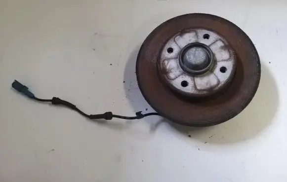 Citroen DS3 Rear brake disc neventiliuojamas