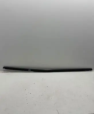 Renault Megane IV Rear door glass trim molding 828205338R