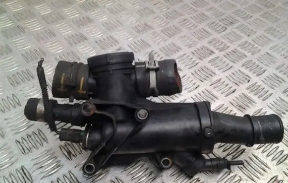 Thermostat/thermostat housing