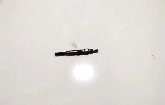 Renault Scenic I Glow plug 0250202022