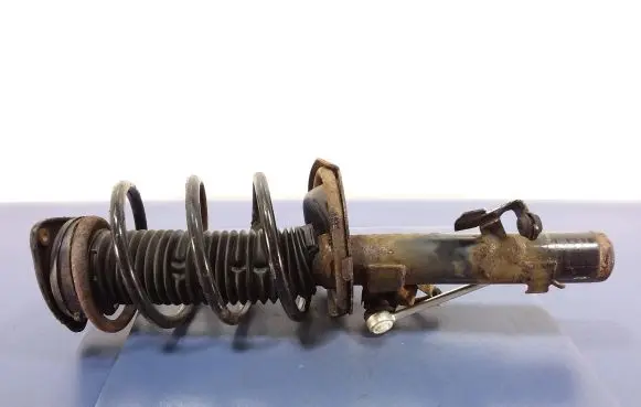 Ford Focus C-MAX Front shock absorber with coil spring