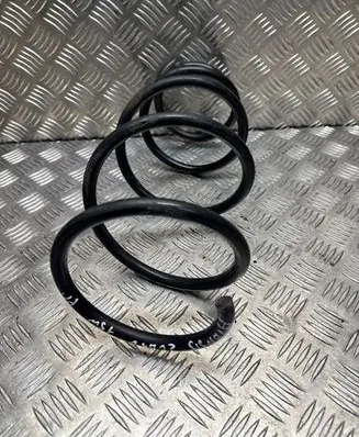 Front coil spring