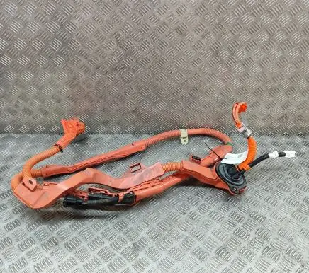 Lexus ES 250 - 300 - 330 Other wiring loom 821H133030