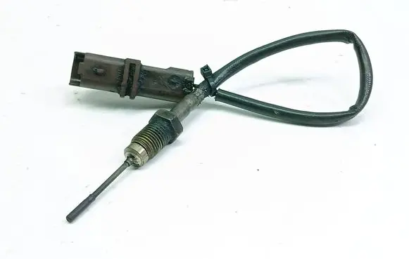 Citroen Xsara Picasso Exhaust gas temperature sensor