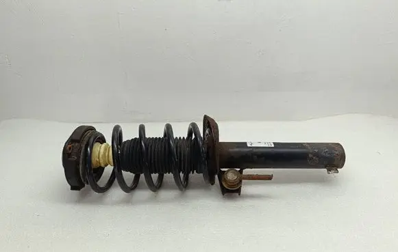 Volkswagen PASSAT B6 Front shock absorber/damper 824904005795 A347