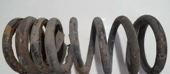 KIA Carnival Rear coil spring