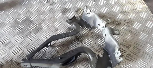 Renault Laguna III Engine bonnet/hood hinges 654010001R 654000001R