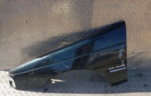 Fender