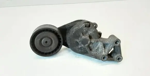 Seat Alhambra (Mk1) Generator/alternator belt tensioner 038903315F