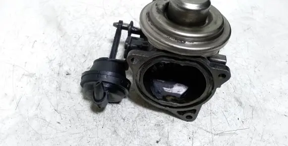 Ford Galaxy EGR valve 038131501AA 325119064