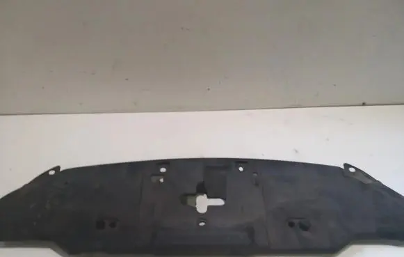 Engine bonnet/hood lock trim molding