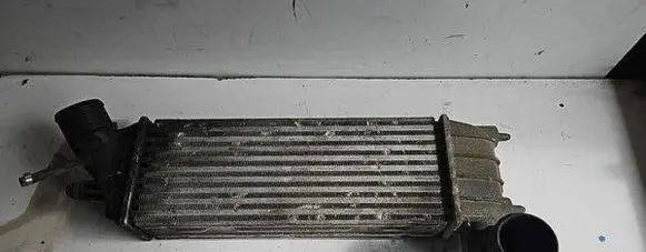 Peugeot 807 Intercooler radiator