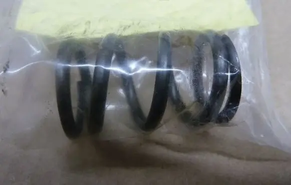 Renault Zoe Front coil spring 1424634040