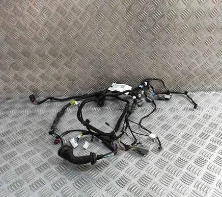 Tesla Model S Front door wiring loom 100442401U