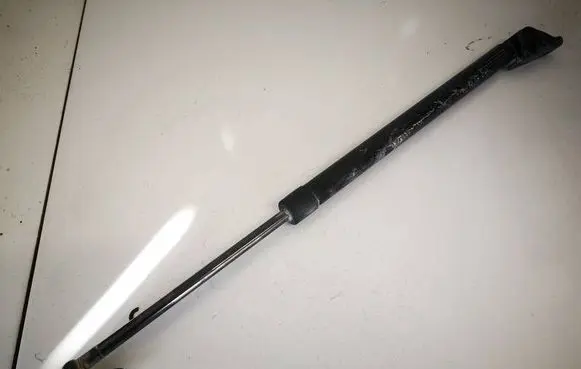 Tailgate/trunk strut/damper